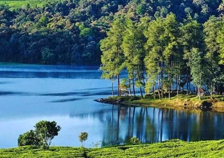 Keindahan Situ Patenggang: Danau Romantis di Bandung Selatan | Bisik.id