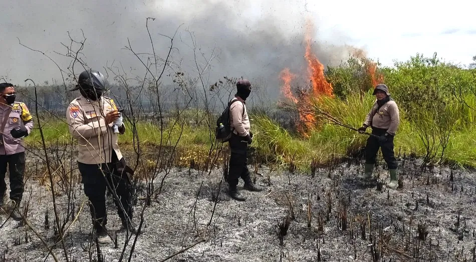 Taman Nasional Way Kambas Kebakaran, Banyak Satwa Jadi Korban