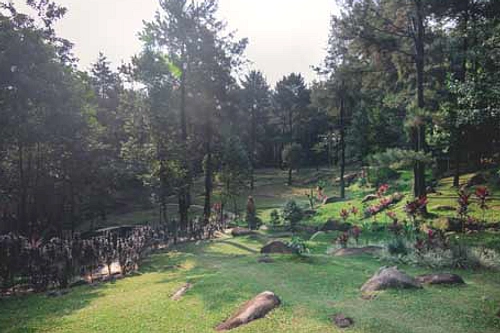 Temukan Pesona TWA Gunung Pancar, Surga Wisata Healing di Bogor | Bisik.id